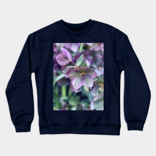 Hellebores in Spring Crewneck Sweatshirt